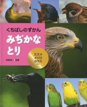 みぢかな とり　スズメ・メジロ・カラスほか