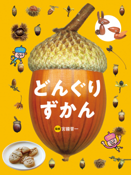 どんぐり ずかん