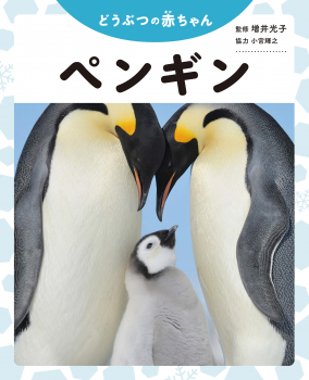 ペンギン