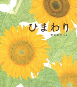 ひまわり (荒井真紀 花の絵本) ：荒井真紀 - 金の星社