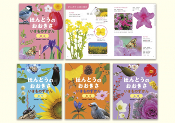 ほんとうの おおきさ いきものずかん