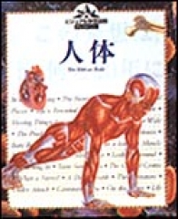 人体