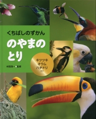 のやまの とり　キツツキ・オウム・ハチドリほか