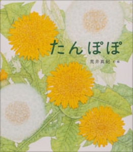 たんぽぽ 荒井真紀 花の絵本 荒井真紀 金の星社