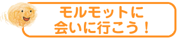 モルモットに会いに行こう！