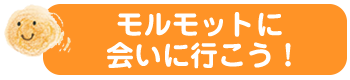 モルモットに会いに行こう！