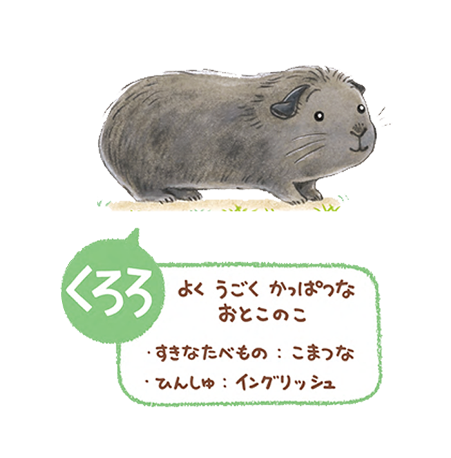 くろろ　よくうごくかっぱつなおとこのこ　・すきなたべもの：こまつな　ひんしゅ：イングリッシュ