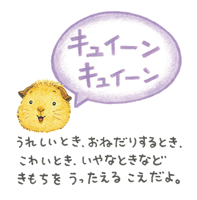 キュイーン　キュイーン　うれしいとき、おねだりするとき、こわいとき、いやなときなど　きもちをうったえるこえだよ。