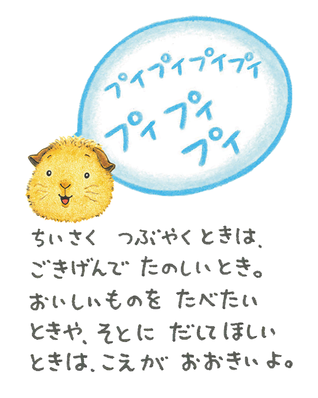 プイプイプイプイプイプイ　ちいさく　つぶやくときは、ごきげんで　たのしいとき。おいしいものをたべたいときや　そとにだしてほしいときは、こえがおおきいよ。