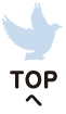 TOPへ